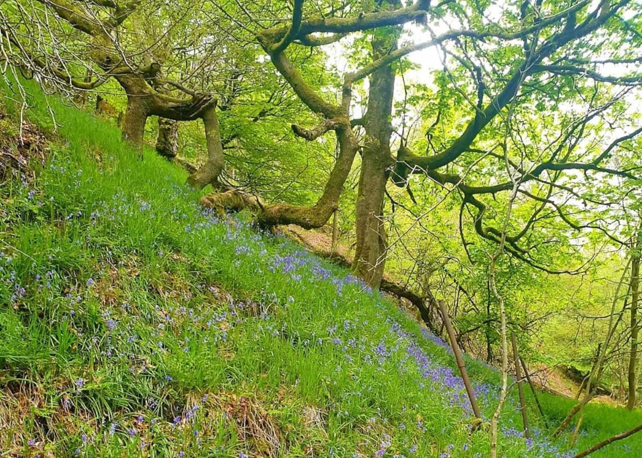 Bijou Cottage In Bronte Country With Wood-Burning Stove & Hot Tub Spa 호어스 외부 사진