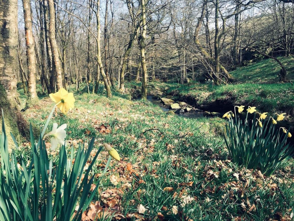 Bijou Cottage In Bronte Country With Wood-Burning Stove & Hot Tub Spa 호어스 외부 사진