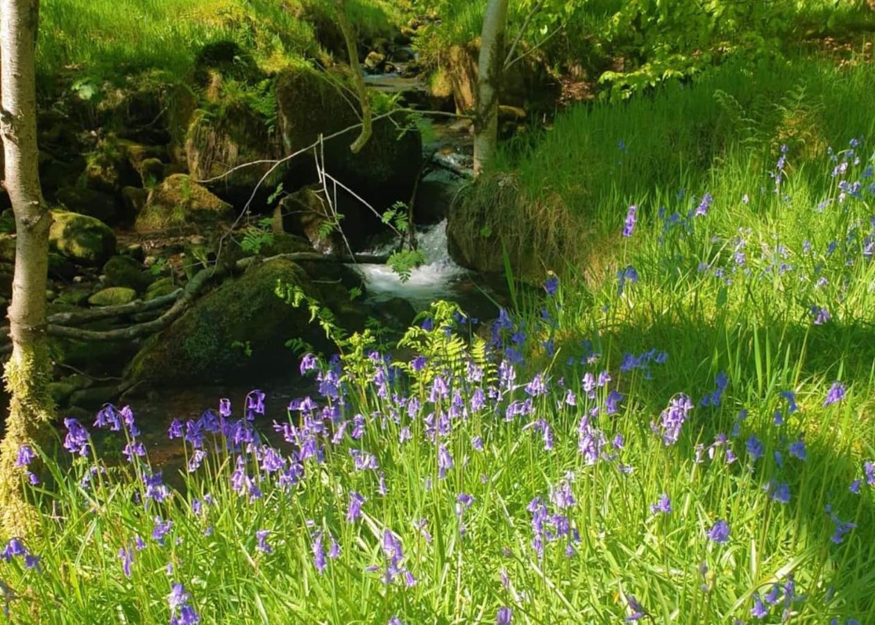 Bijou Cottage In Bronte Country With Wood-Burning Stove & Hot Tub Spa 호어스 외부 사진