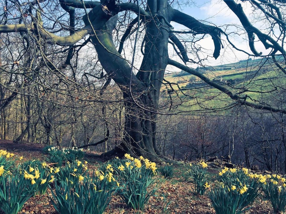 Bijou Cottage In Bronte Country With Wood-Burning Stove & Hot Tub Spa 호어스 외부 사진